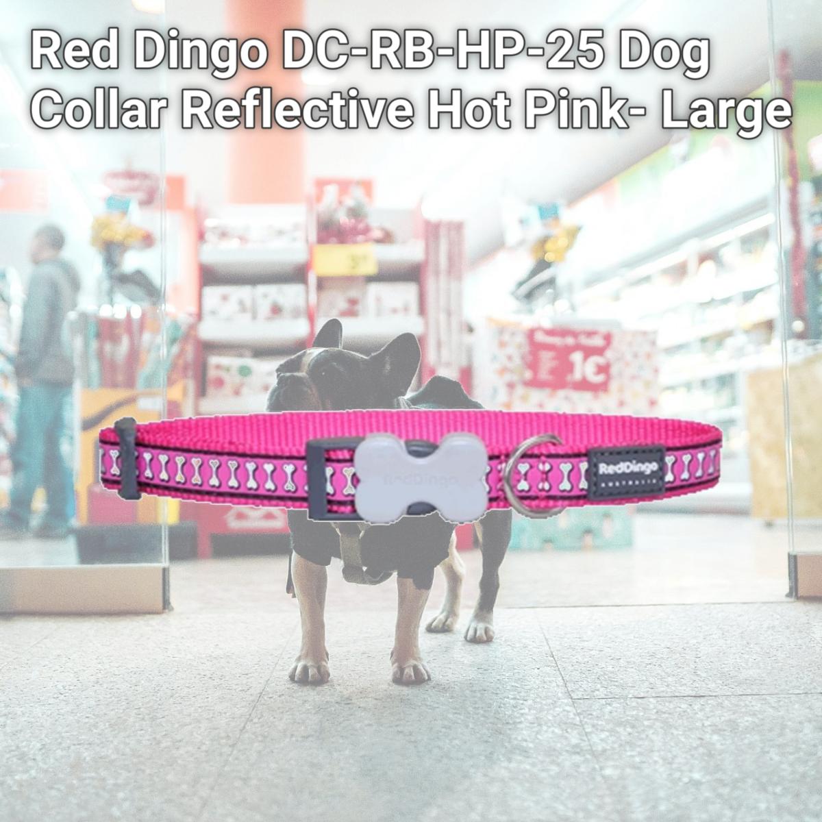 Picture of Red Dingo DC-RB-HP-25 Dog Collar Reflective Hot Pink- Large