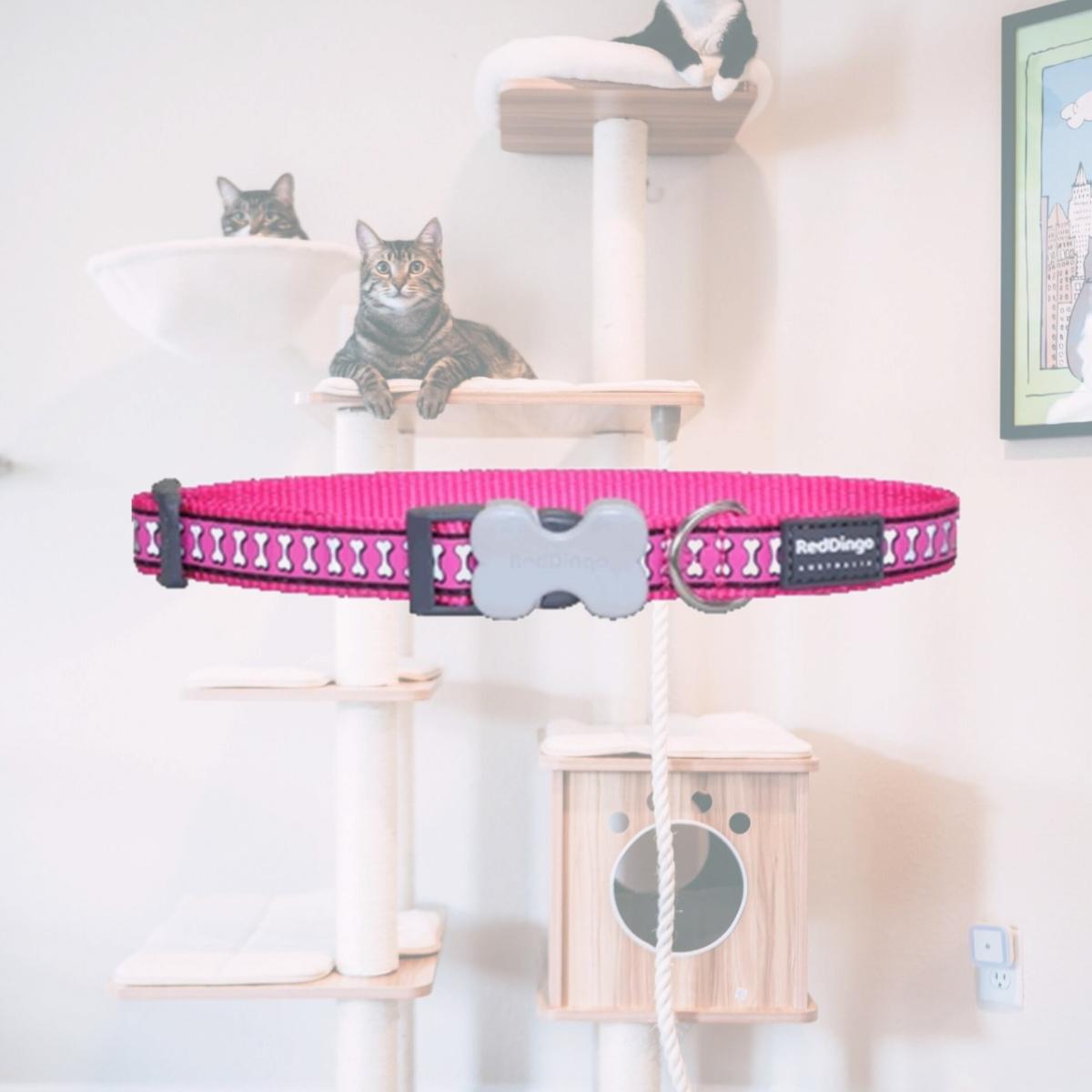 Picture of Red Dingo DC-RB-HP-25 Dog Collar Reflective Hot Pink- Large