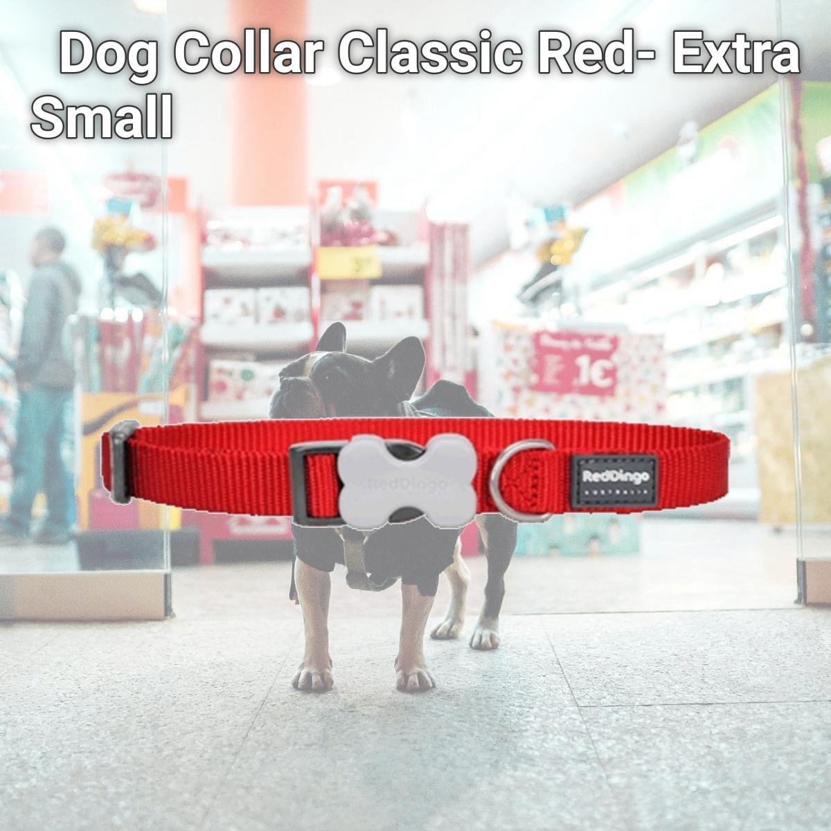 Picture of Red Dingo DC-ZZ-RE-12 Dog Collar Classic Red- Extra Small
