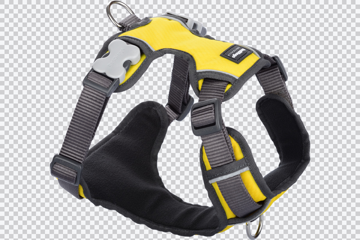 Picture of Red Dingo DH-PH-YE-SM Dog Padded Harness&#44; Yellow - Small
