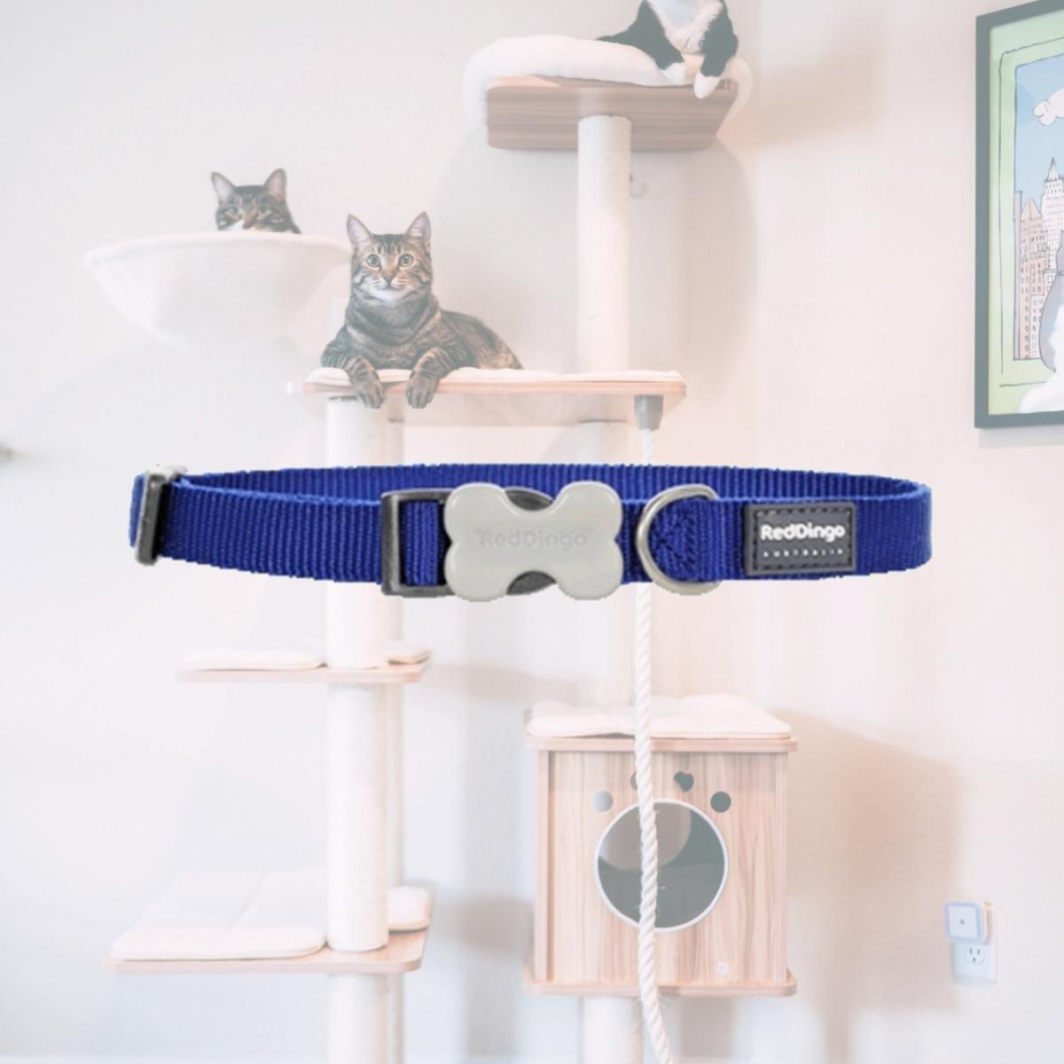 Picture of Red Dingo DC-ZZ-DB-12 Dog Collar Classic Dark Blue- Extra Small