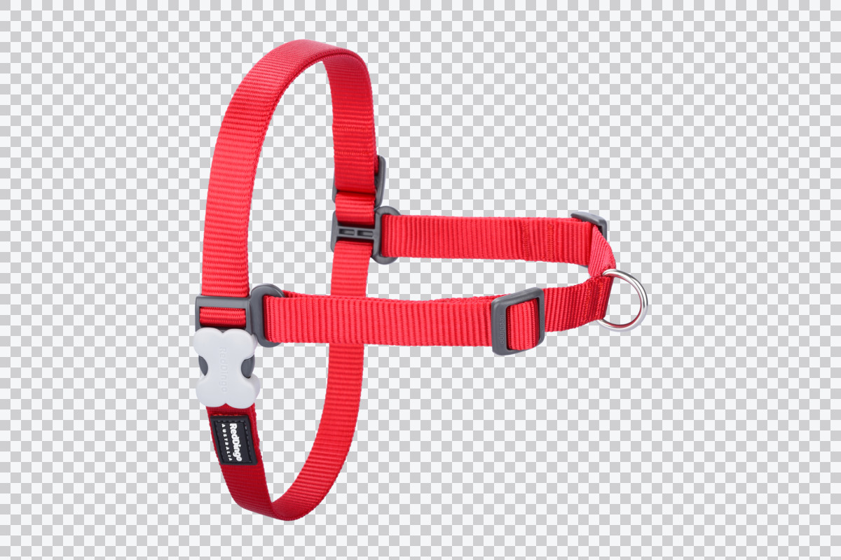 Picture of Red Dingo NH-ZZ-RE-XS Classic No-Pull Dog Harness&#44; Red - Extra Small