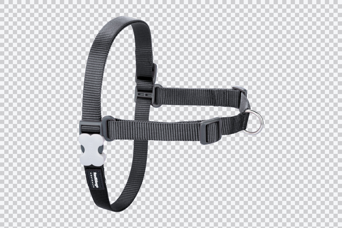 Picture of Red Dingo NH-ZZ-GY-XS Classic No-Pull Dog Harness&#44; Cool Gray - Extra Small