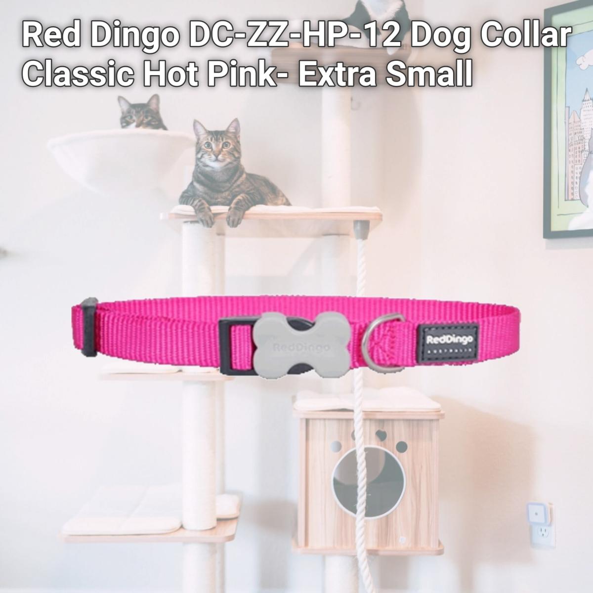 Picture of Red Dingo DC-ZZ-HP-12 Dog Collar Classic Hot Pink- Extra Small