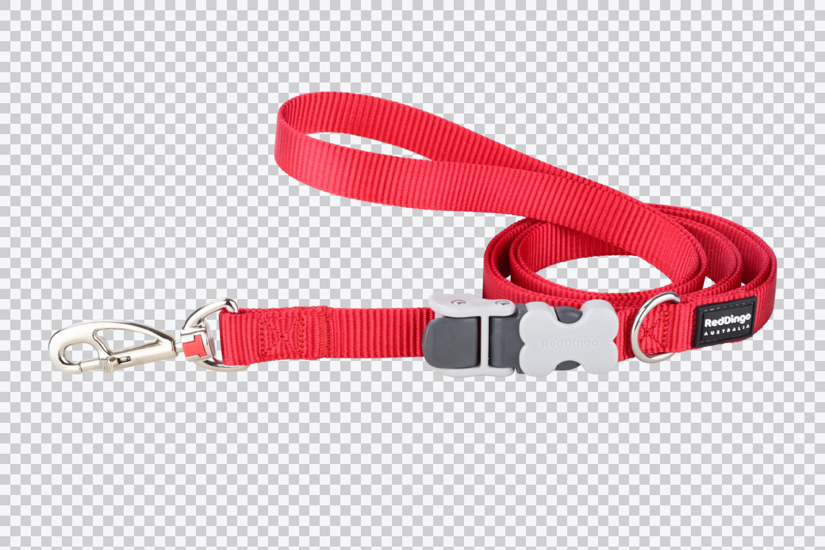 Picture of Red Dingo SL-ZZ-RE-12 12 mm Multipurpose Classic Dog Nylon Super Lead&#44; Red - Extra Small