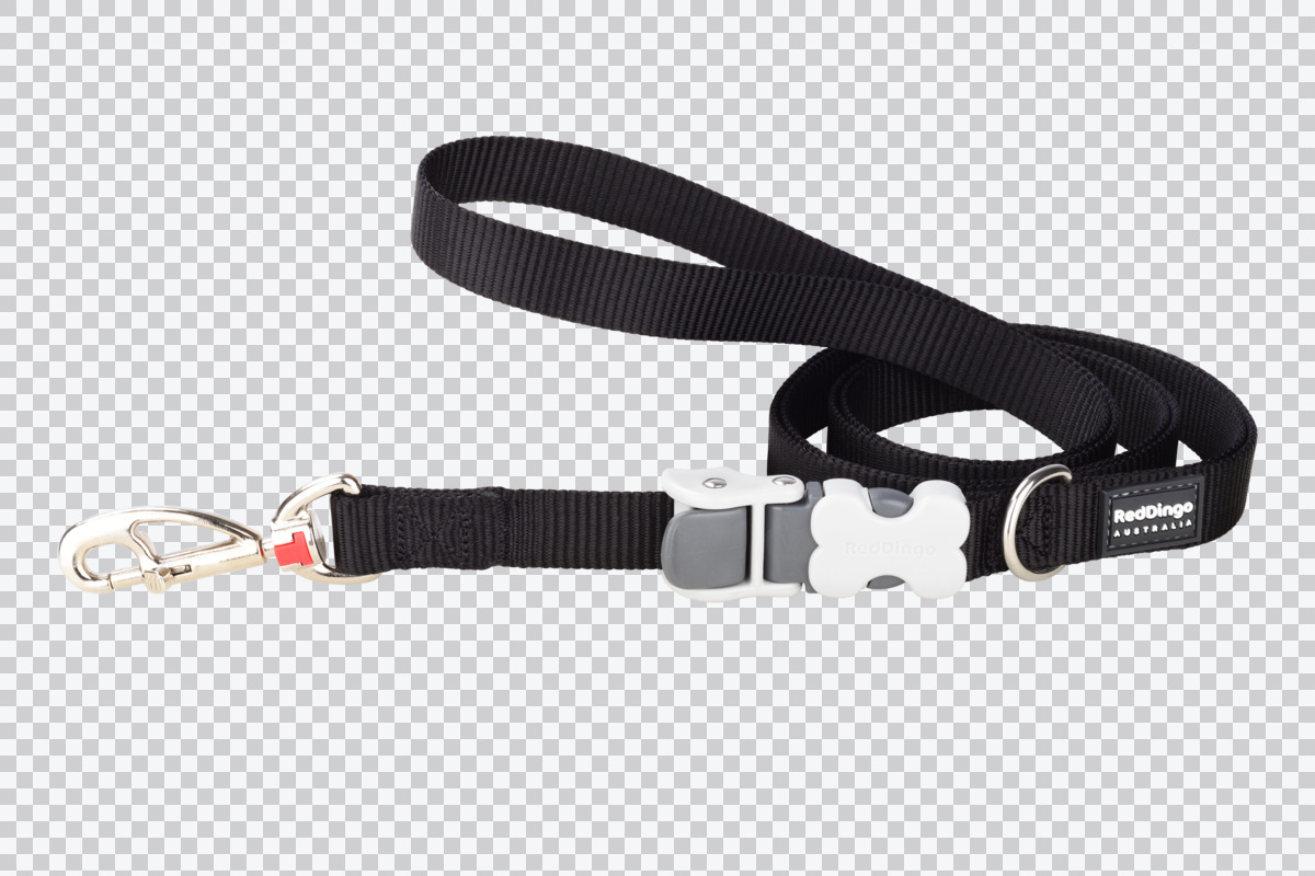 Picture of Red Dingo SL-ZZ-BB-20 20 mm Multipurpose Classic Dog Nylon Super Lead Black - Medium