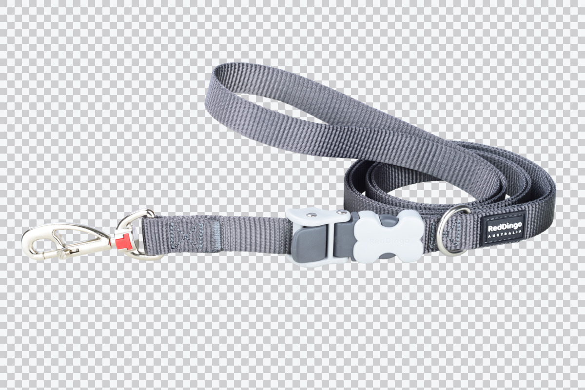 Picture of Red Dingo SL-ZZ-GY-15 15 mm Multipurpose Classic Dog Nylon Super Lead&#44; Cool Gray - Small