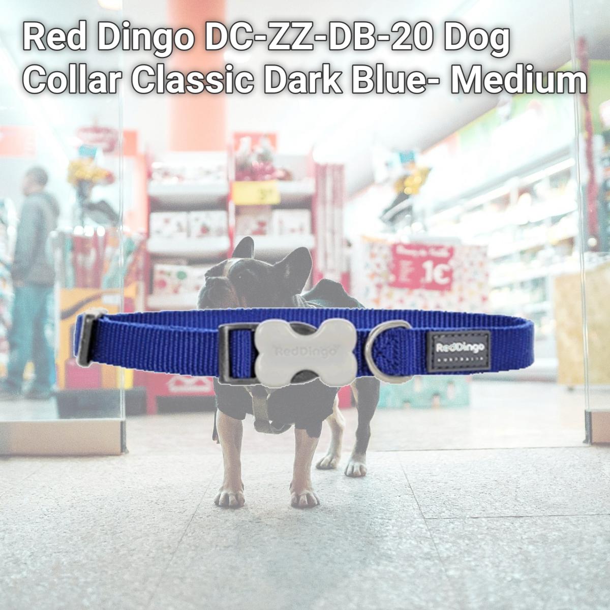 Picture of Red Dingo DC-ZZ-DB-20 Dog Collar Classic Dark Blue- Medium