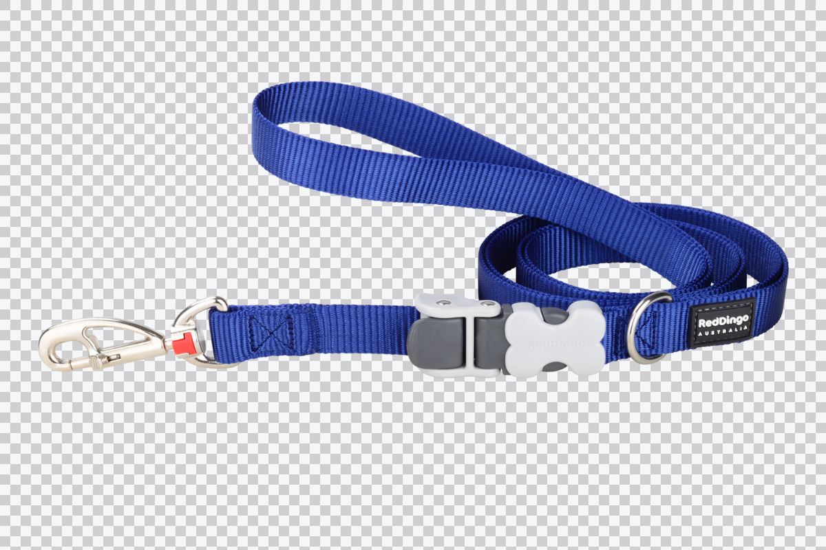 Picture of Red Dingo SL-ZZ-DB-20 20 mm Multipurpose Classic Dog Nylon Super Lead Dark Blue - Medium