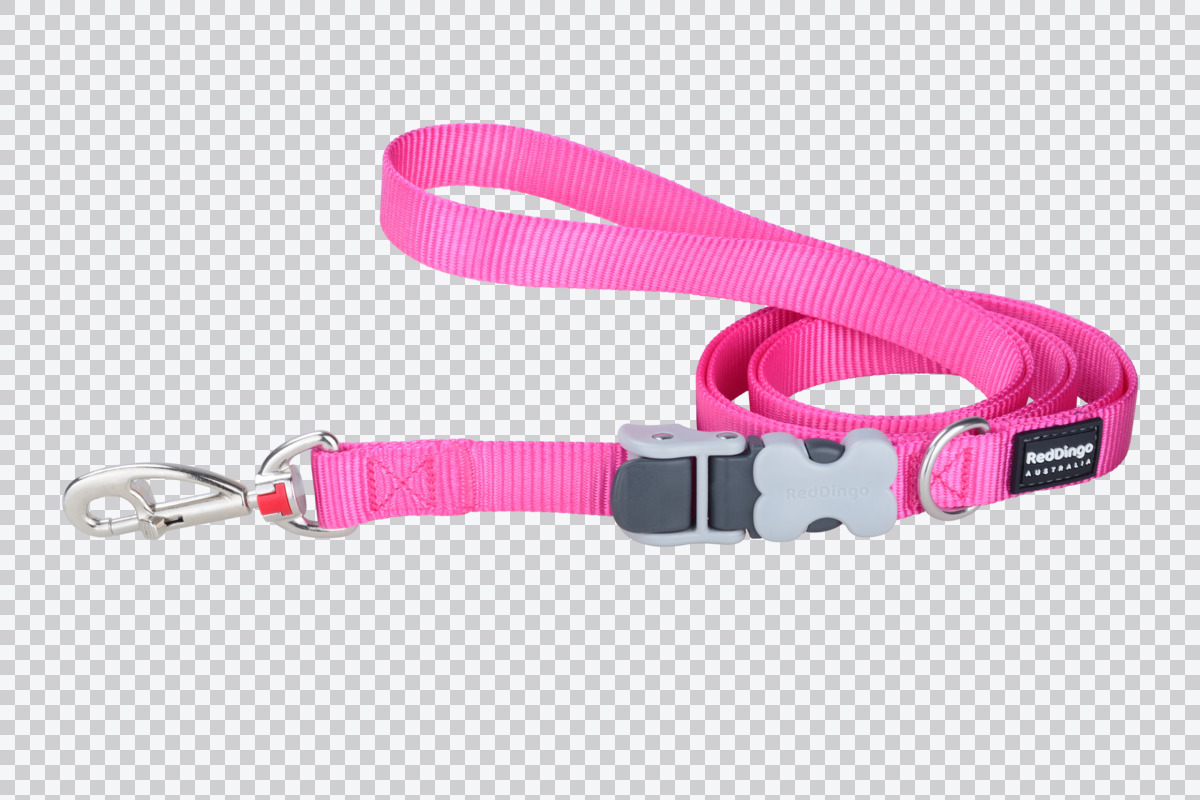 Picture of Red Dingo SL-ZZ-HP-12 12 mm Multipurpose Classic Dog Nylon Super Lead&#44; Hot Pink - Extra Small