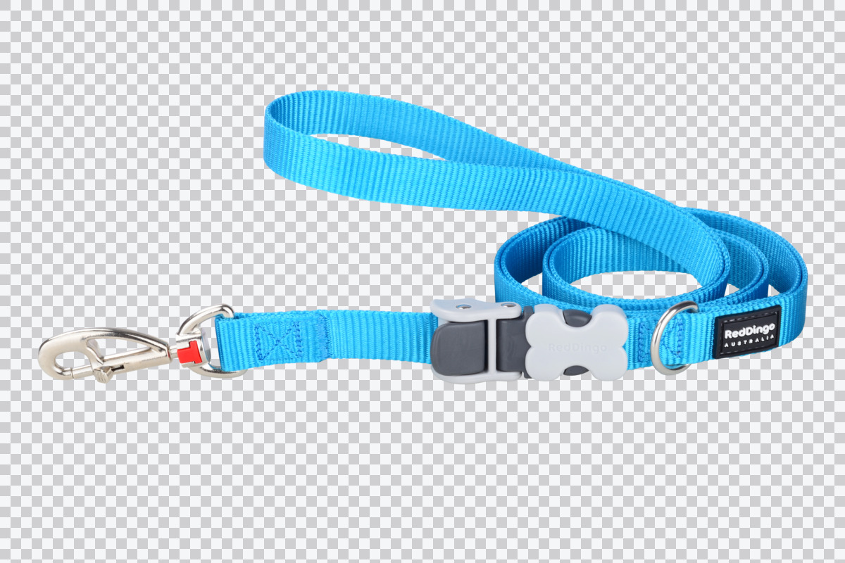 Picture of Red Dingo SL-ZZ-TQ-12 12 mm Multipurpose Classic Dog Nylon Super Lead&#44; Turquoise - Extra Small
