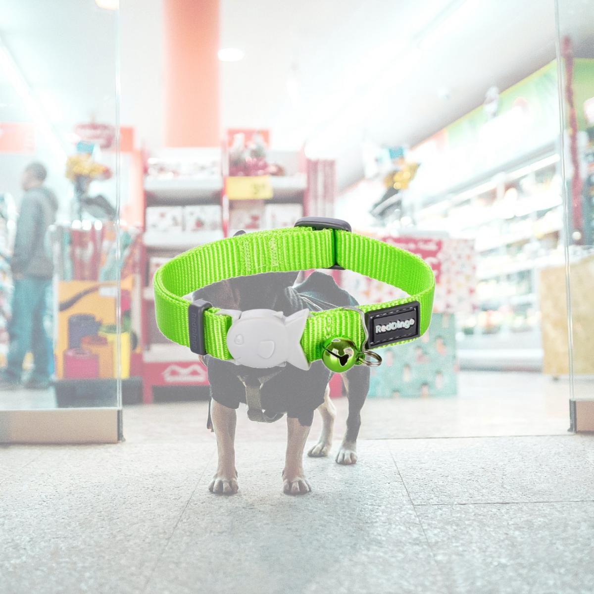 Picture of Red Dingo CC-ZZ-LG-12 Cat Collar Classic Lime Green