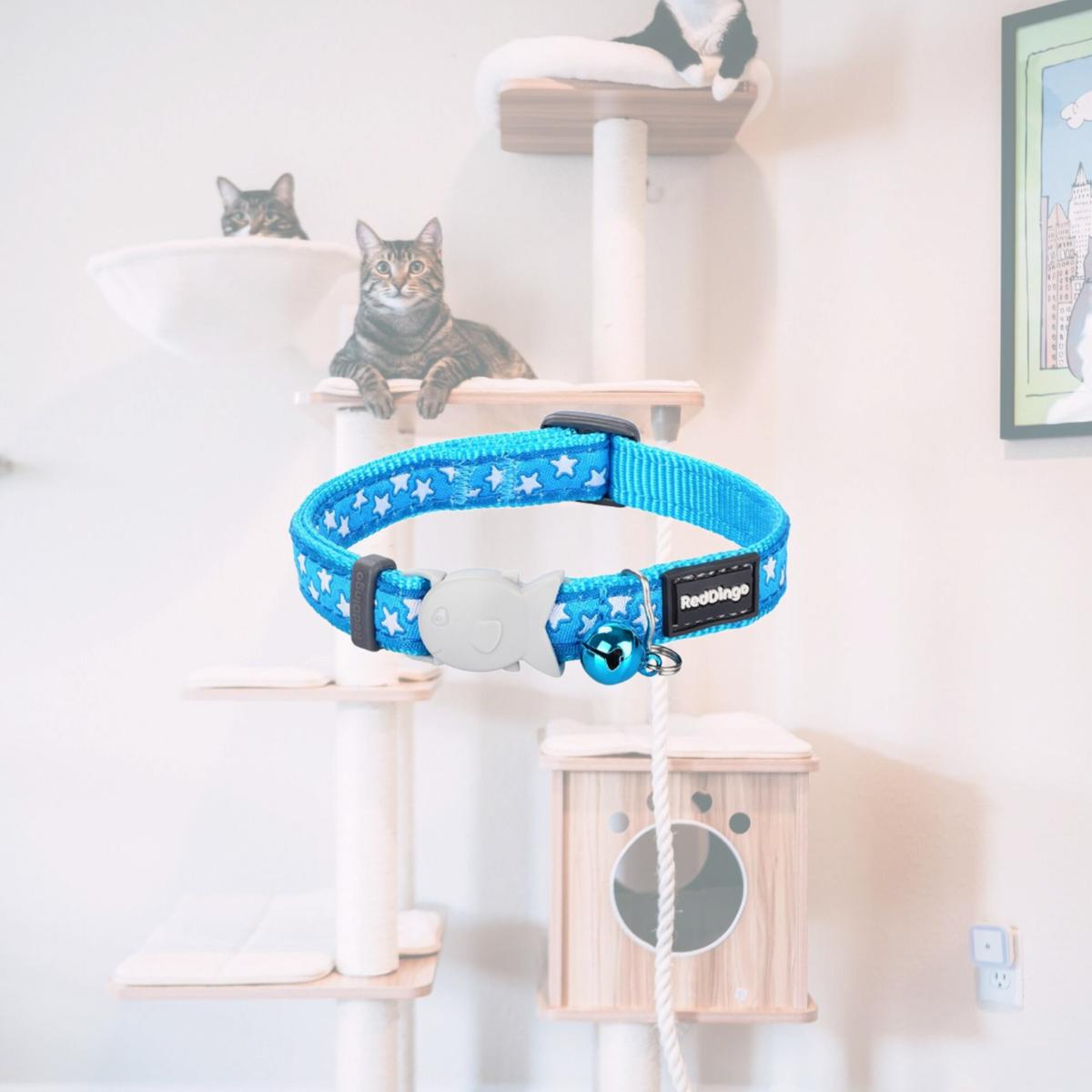 Picture of Red Dingo CC-ST-TQ-12 Cat Collar Star Turquoise