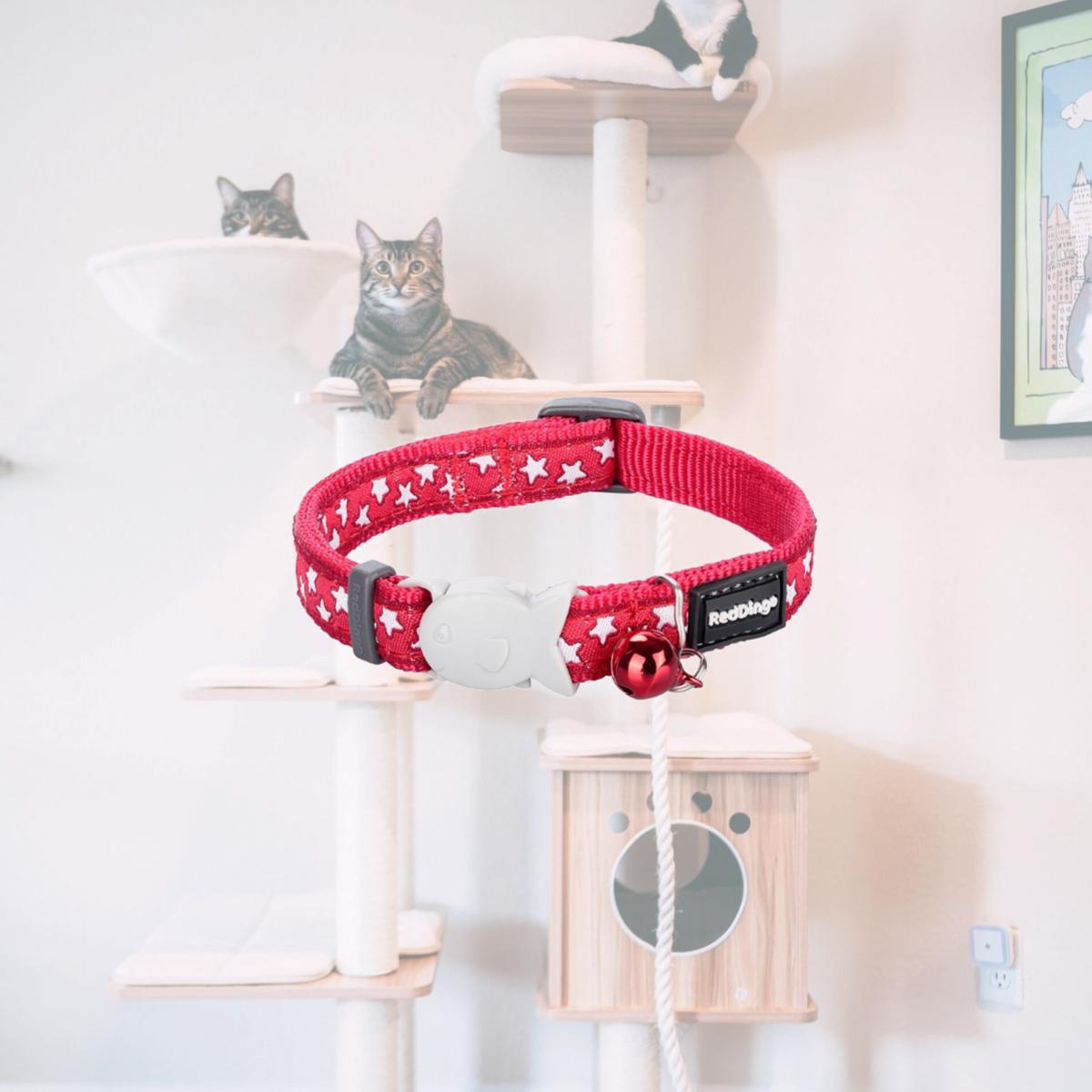 Picture of Red Dingo CC-ST-RE-12 Cat Collar Star Red