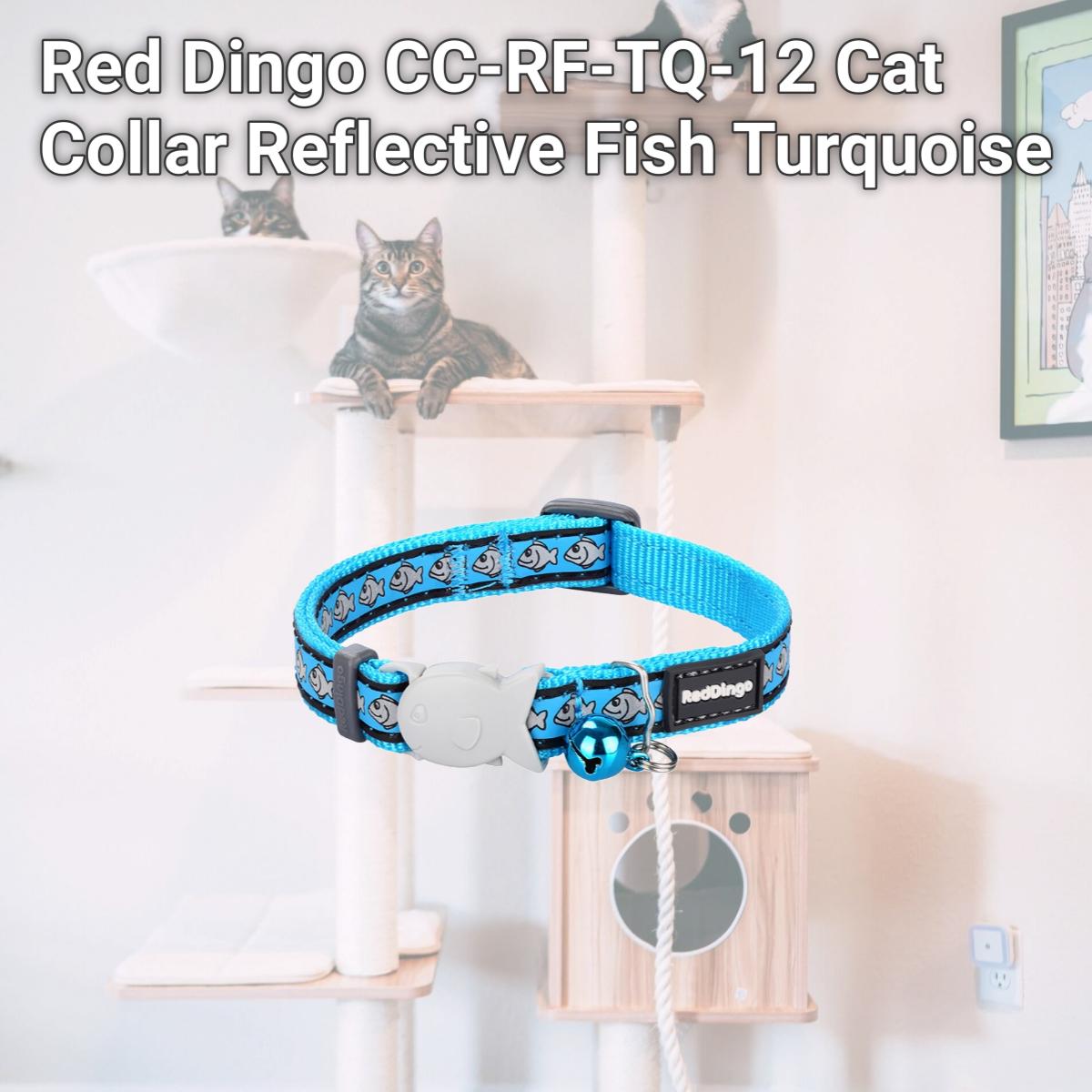 Picture of Red Dingo CC-RF-TQ-12 Cat Collar Reflective Fish Turquoise