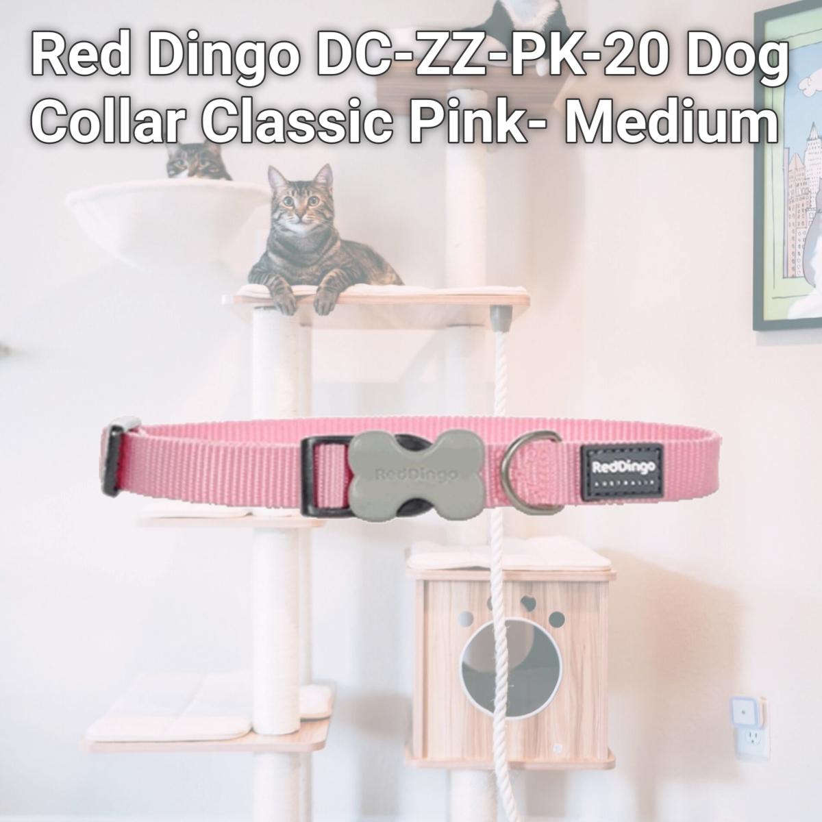 Picture of Red Dingo DC-ZZ-PK-20 Dog Collar Classic Pink- Medium