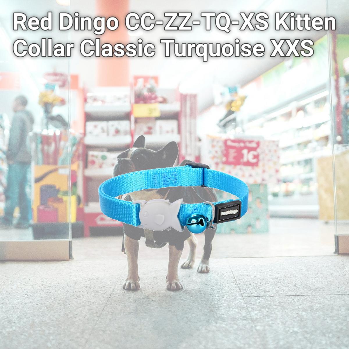 Picture of Red Dingo CC-ZZ-TQ-XS Kitten Collar Classic Turquoise XXS