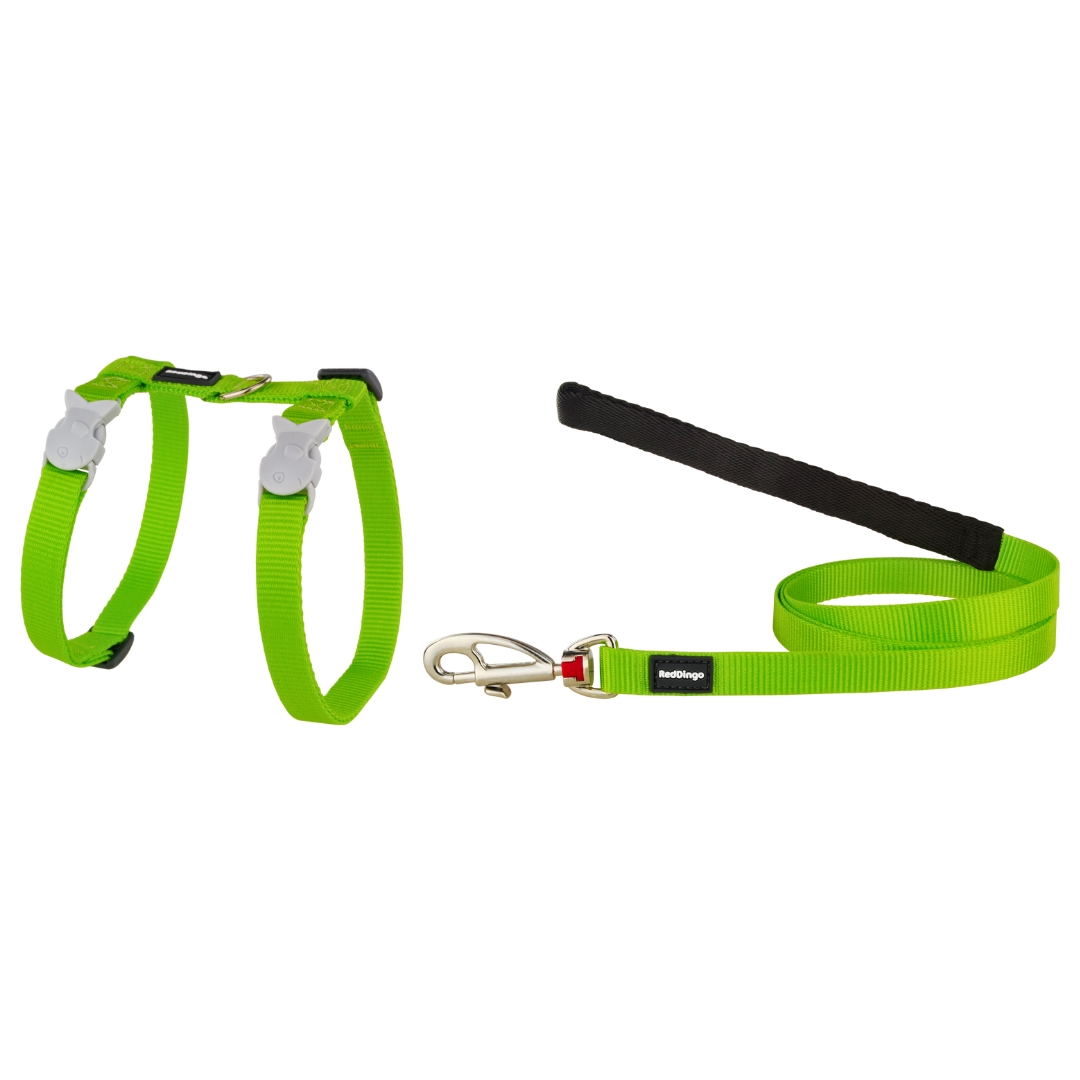 Picture of Red Dingo CH-ZZ-LG-12 Cat Harness & Lead Combo Classic Lime Green
