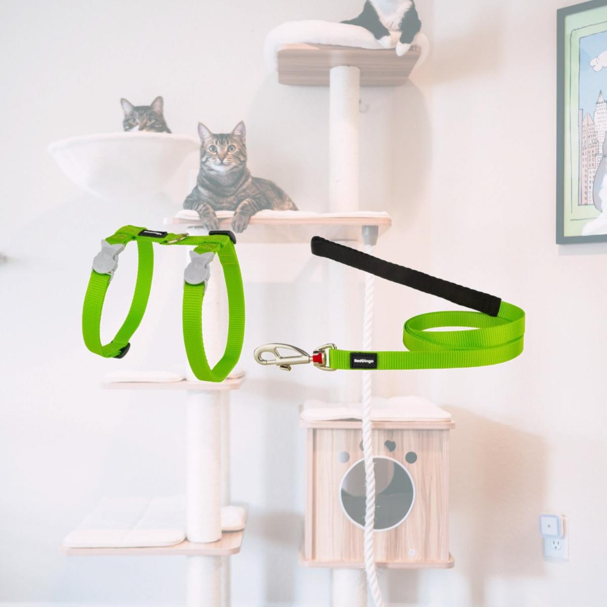 Picture of Red Dingo CH-ZZ-LG-12 Cat Harness &amp; Lead Combo Classic Lime Green