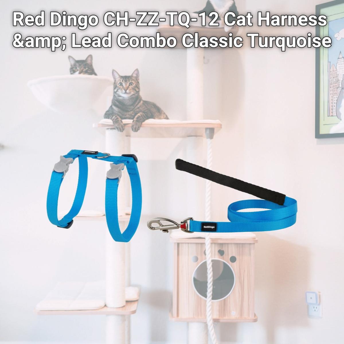Picture of Red Dingo CH-ZZ-TQ-12 Cat Harness &amp; Lead Combo Classic Turquoise