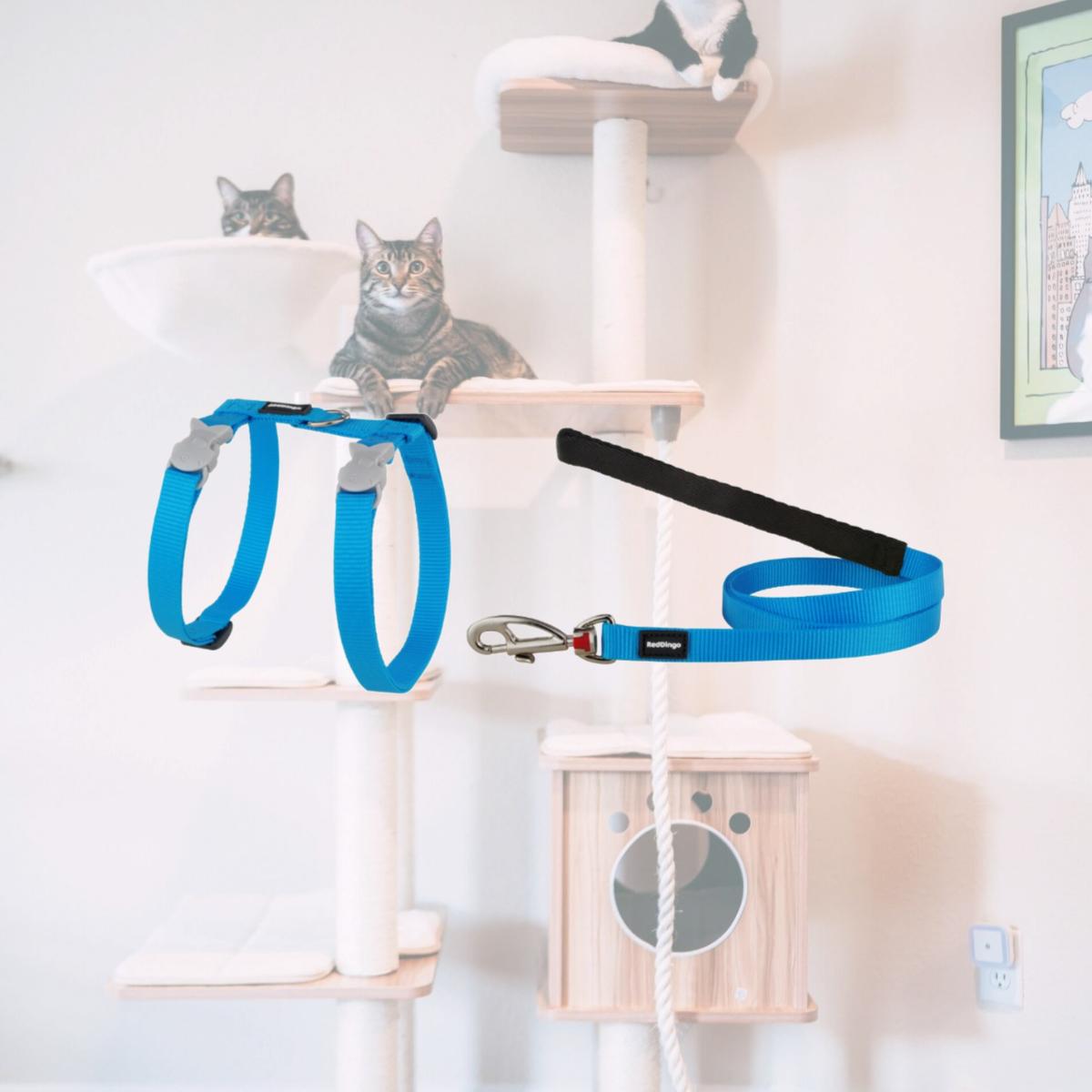 Picture of Red Dingo CH-ZZ-TQ-12 Cat Harness &amp; Lead Combo Classic Turquoise