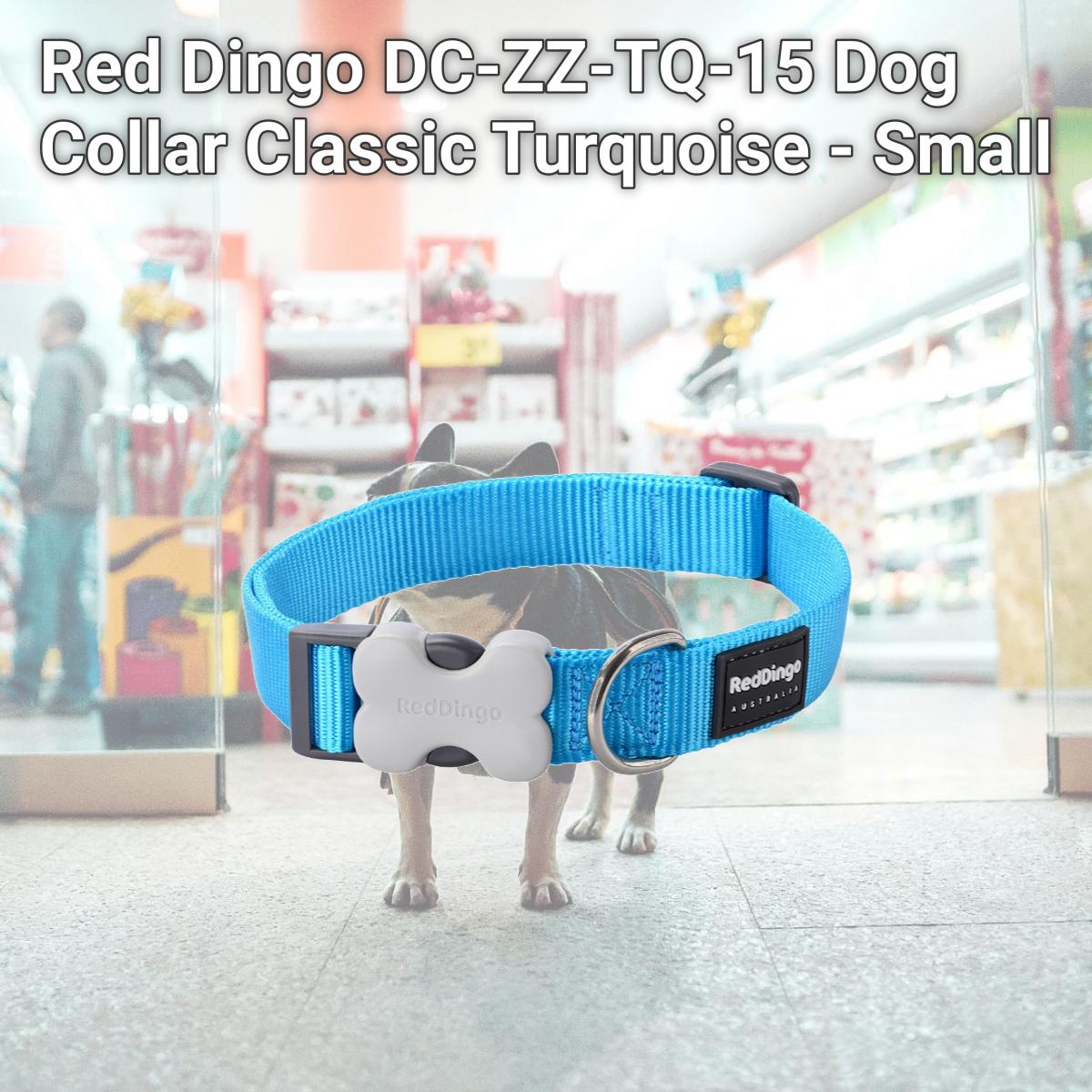 Picture of Red Dingo DC-ZZ-TQ-15 Dog Collar Classic Turquoise - Small