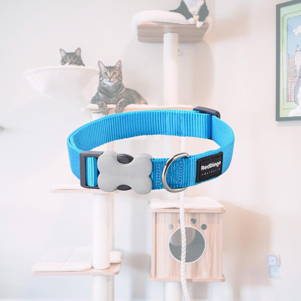 Picture of Red Dingo DC-ZZ-TQ-15 Dog Collar Classic Turquoise - Small