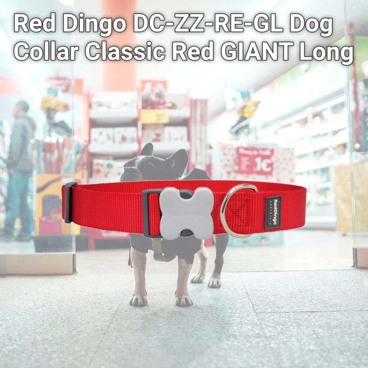 Picture of Red Dingo DC-ZZ-RE-GL Dog Collar Classic Red GIANT Long
