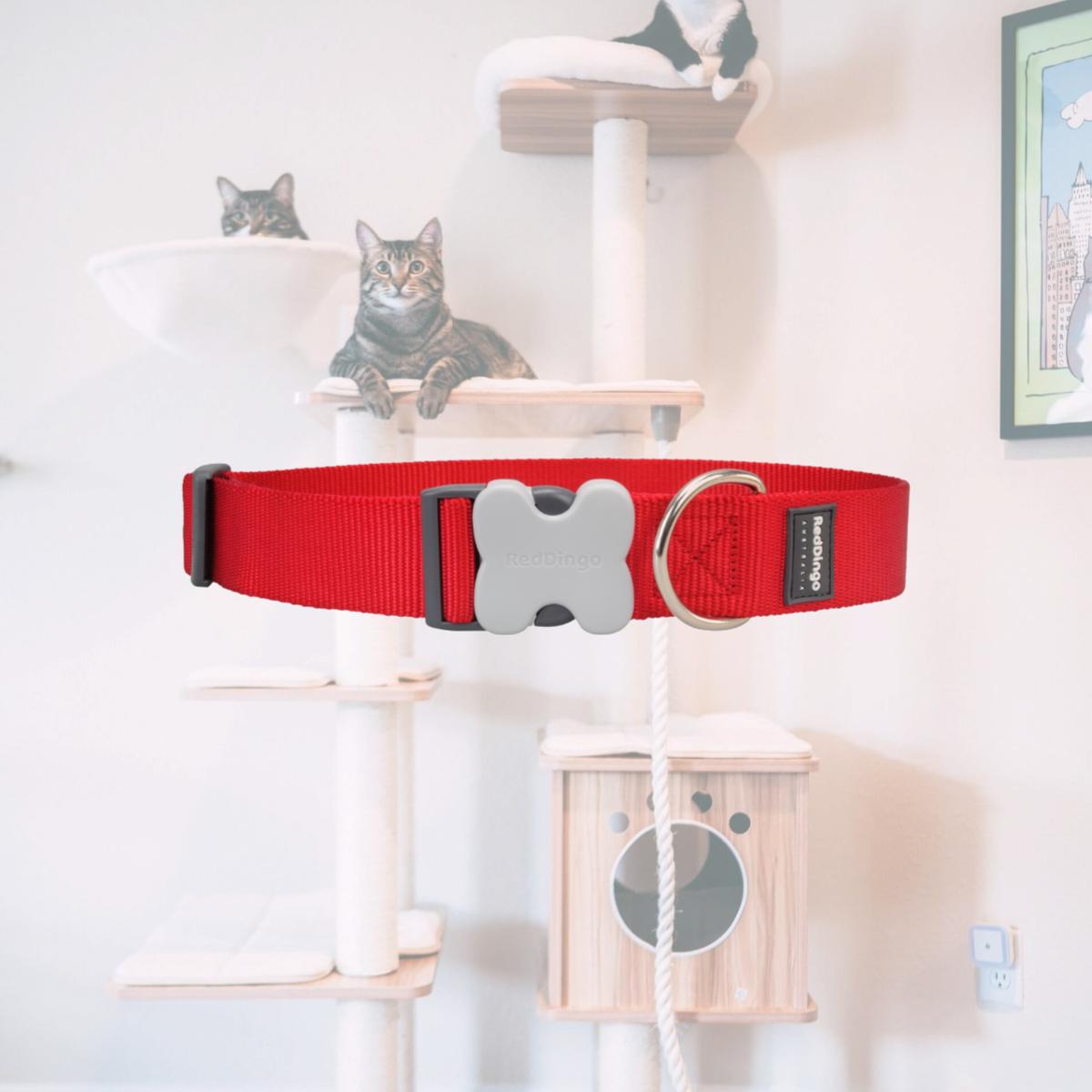 Picture of Red Dingo DC-ZZ-RE-GL Dog Collar Classic Red GIANT Long