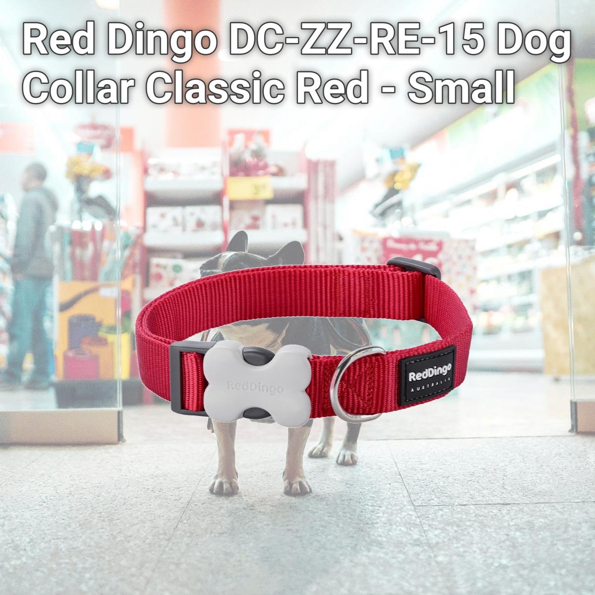 Picture of Red Dingo DC-ZZ-RE-15 Dog Collar Classic Red - Small