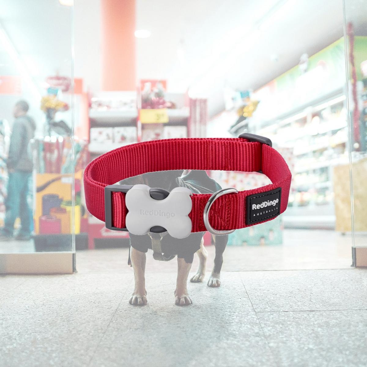 Picture of Red Dingo DC-ZZ-RE-15 Dog Collar Classic Red - Small