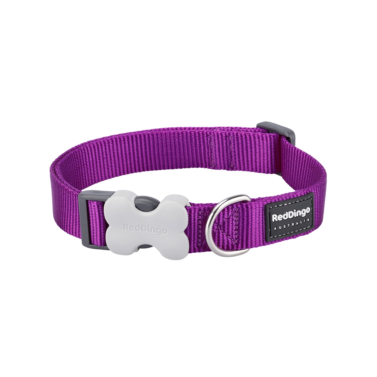 Picture of Red Dingo DC-ZZ-PU-15 Dog Collar Classic Purple - Small