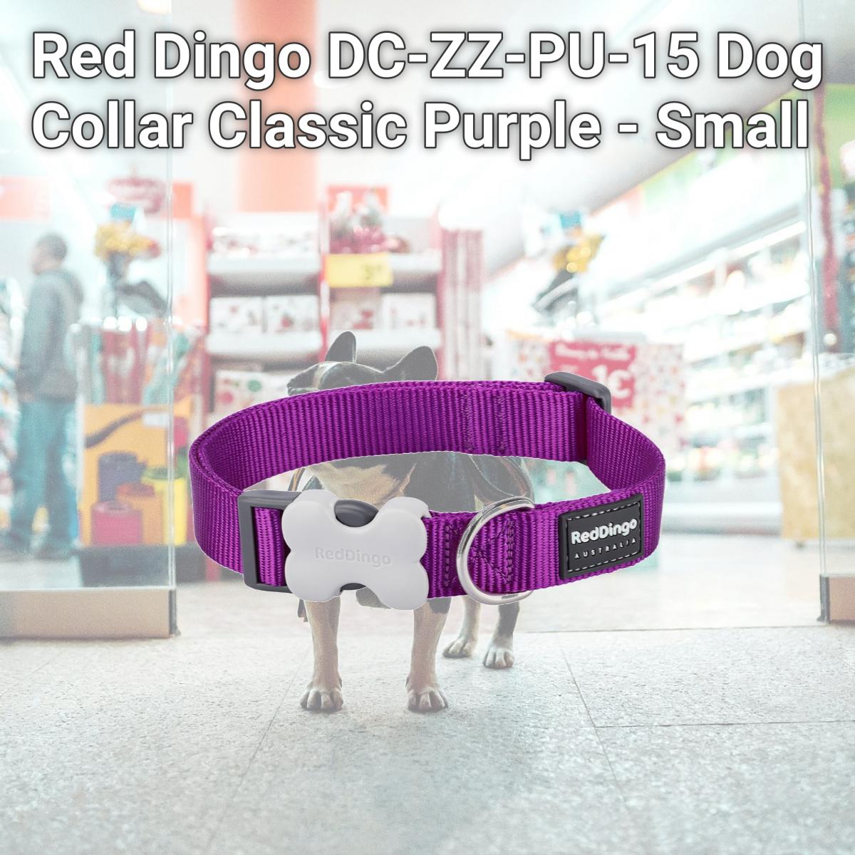 Picture of Red Dingo DC-ZZ-PU-15 Dog Collar Classic Purple - Small