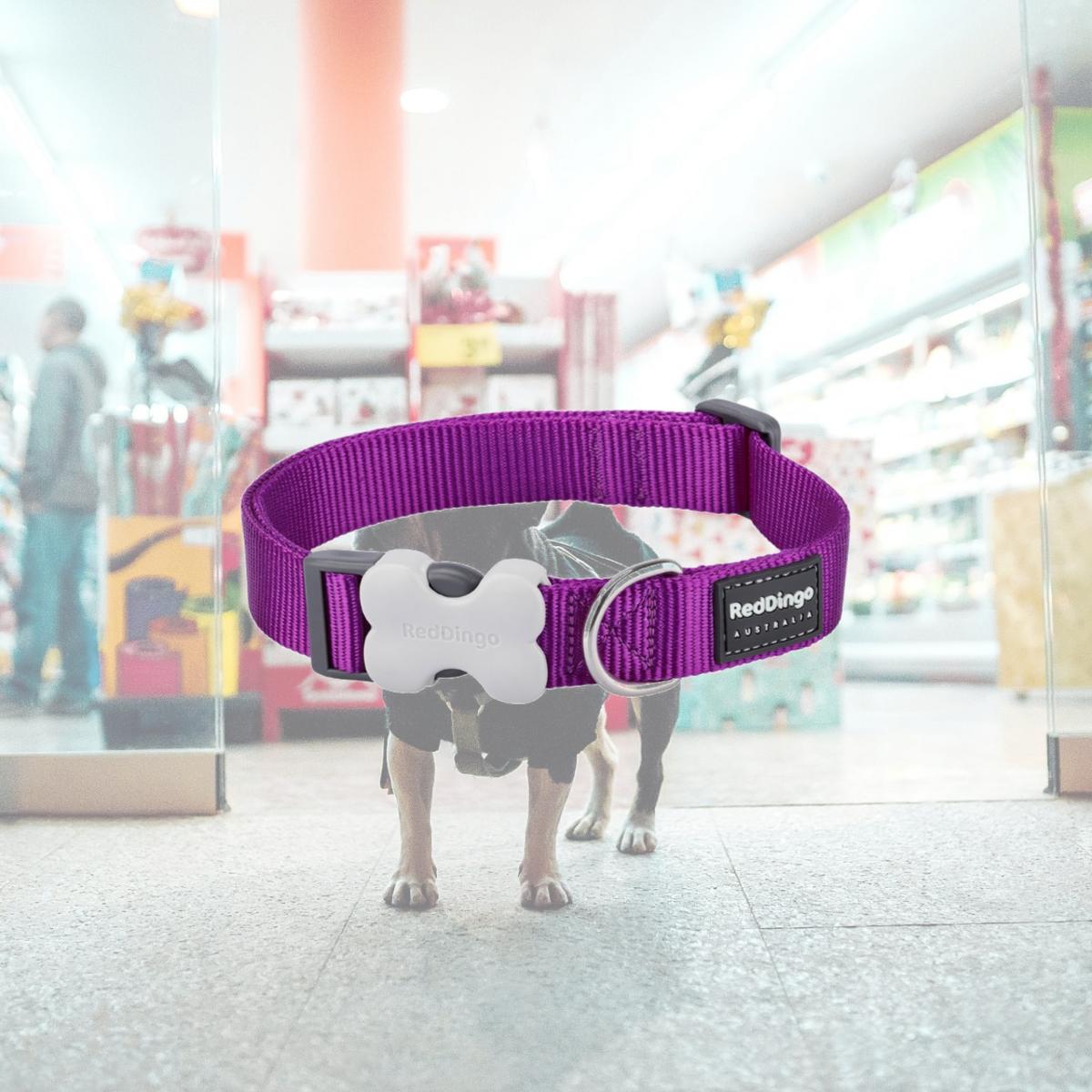 Picture of Red Dingo DC-ZZ-PU-15 Dog Collar Classic Purple - Small