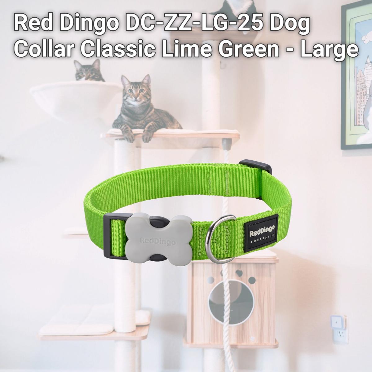 Picture of Red Dingo DC-ZZ-LG-25 Dog Collar Classic Lime Green - Large
