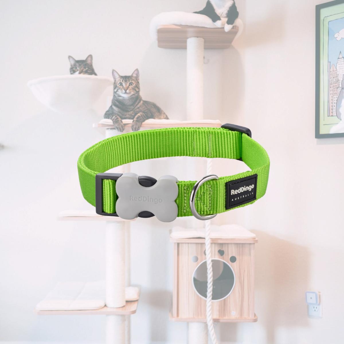 Picture of Red Dingo DC-ZZ-LG-25 Dog Collar Classic Lime Green - Large