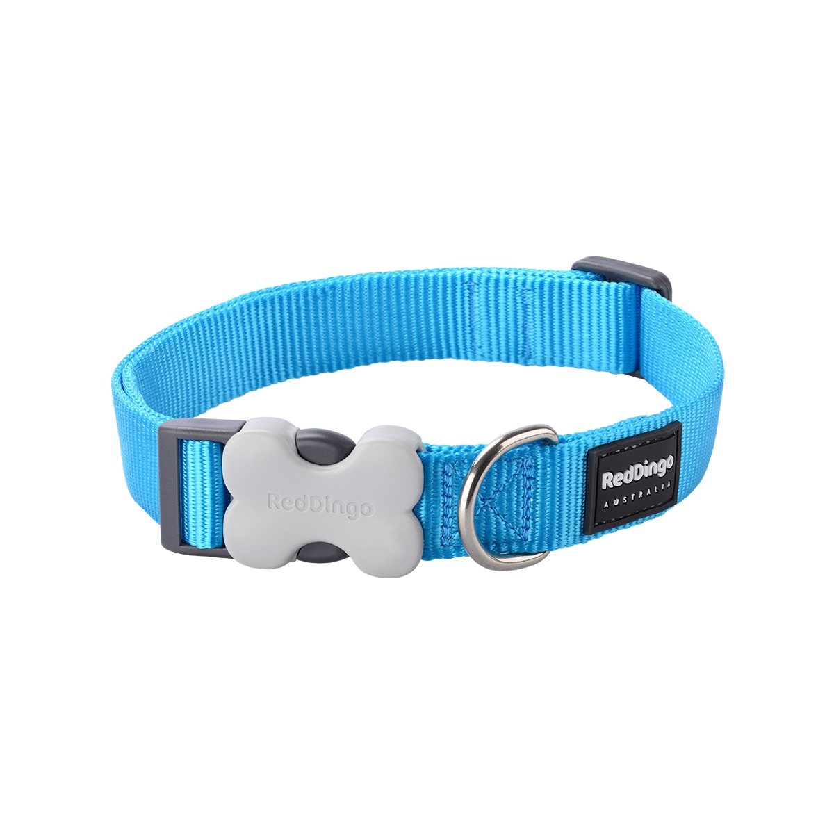 Picture of Red Dingo DC-ZZ-TQ-20 Dog Collar Classic Turquoise - Medium
