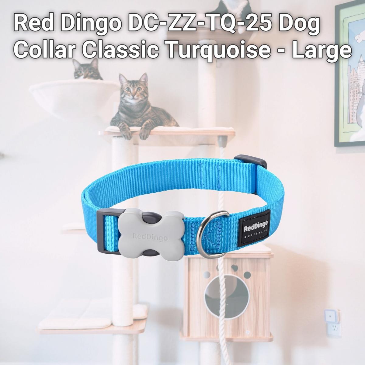 Picture of Red Dingo DC-ZZ-TQ-25 Dog Collar Classic Turquoise - Large
