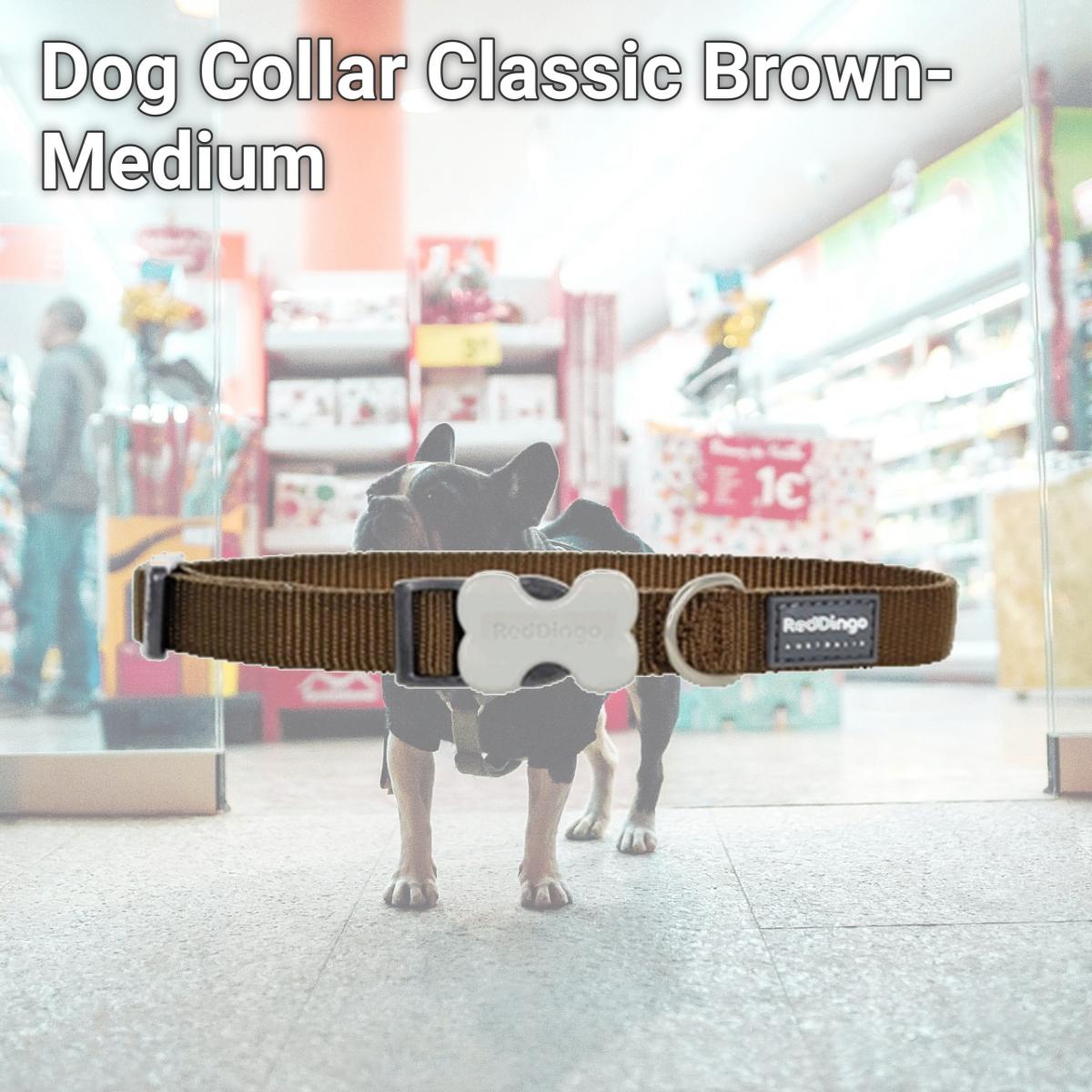 Picture of Red Dingo DC-ZZ-BR-20 Dog Collar Classic Brown- Medium