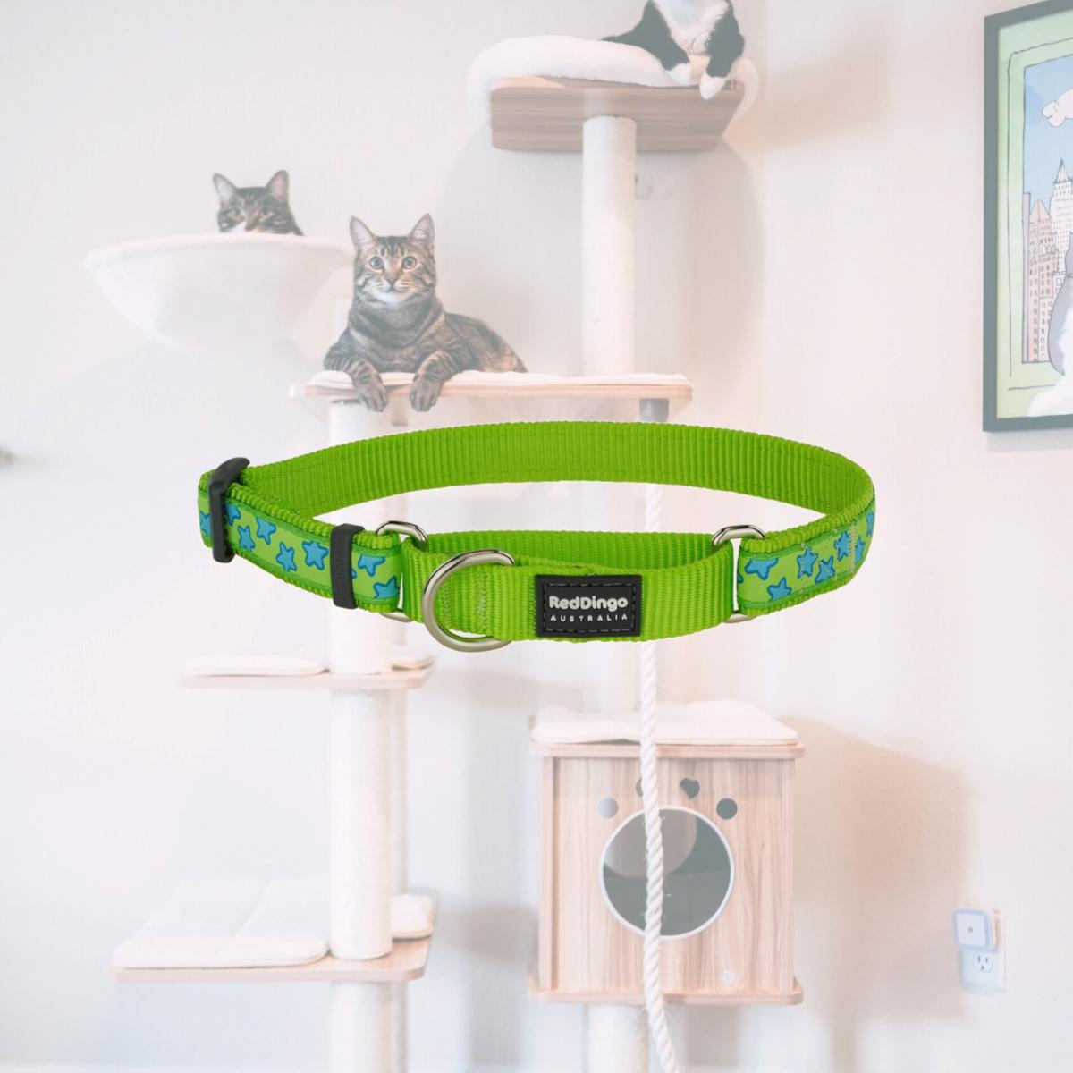 Picture of Red Dingo MC-ST-LG-20 Martingale Design Design Star Lime Green - Medium