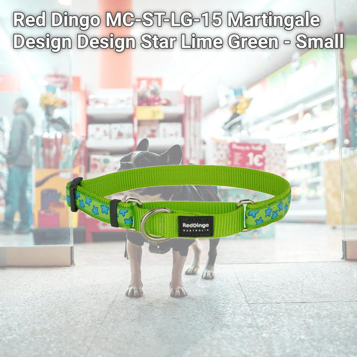 Picture of Red Dingo MC-ST-LG-15 Martingale Design Design Star Lime Green - Small