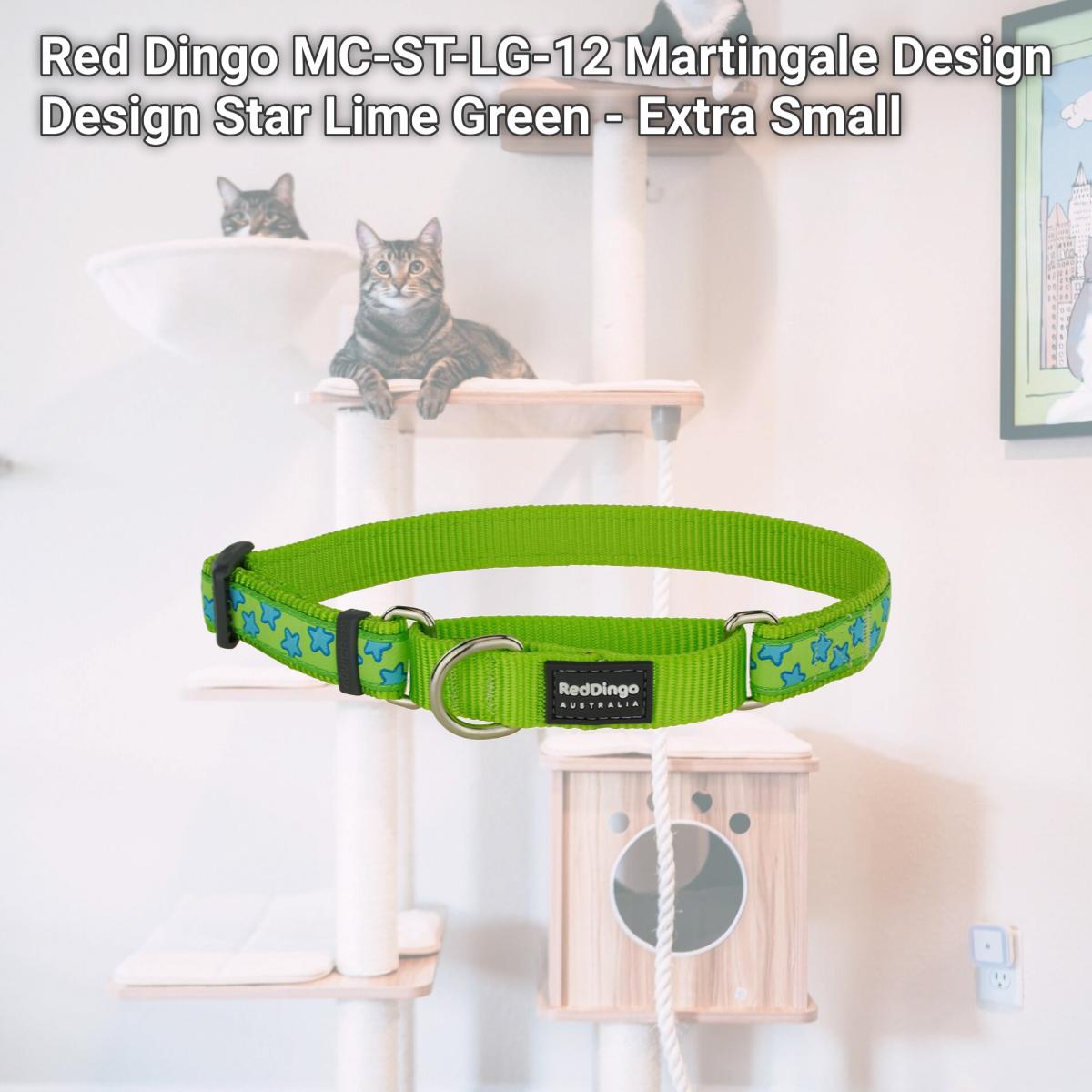 Picture of Red Dingo MC-ST-LG-12 Martingale Design Design Star Lime Green - Extra Small