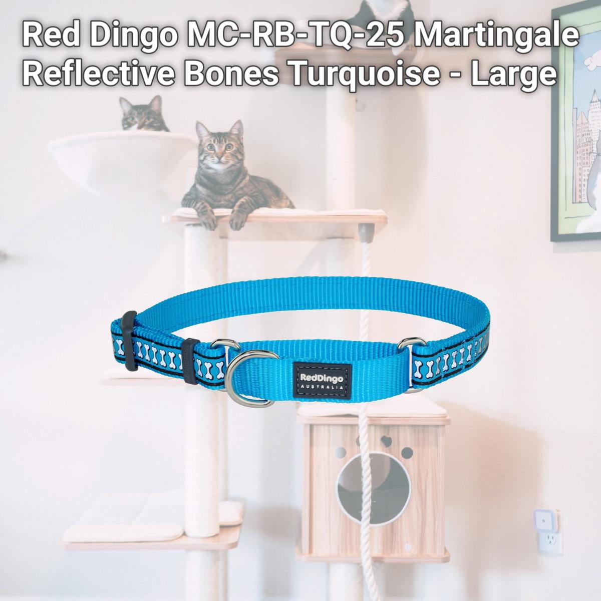Picture of Red Dingo MC-RB-TQ-25 Martingale Reflective Bones Turquoise - Large