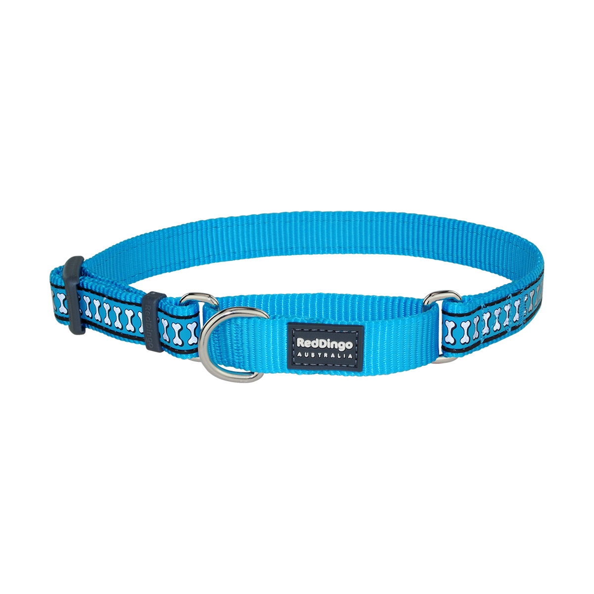 Picture of Red Dingo MC-RB-TQ-20 Martingale Reflective Bones Turquoise - Medium