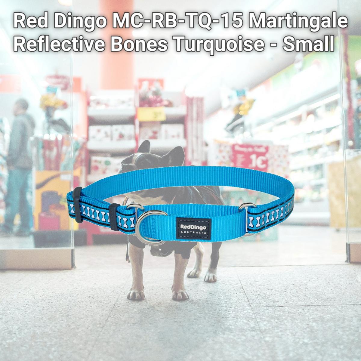 Picture of Red Dingo MC-RB-TQ-15 Martingale Reflective Bones Turquoise - Small