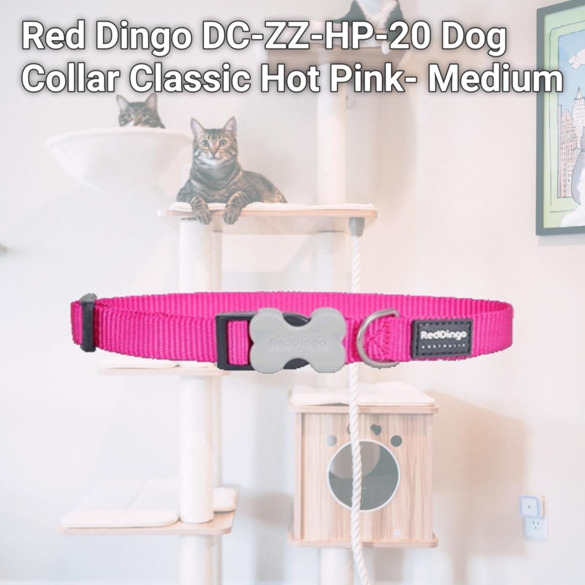 Picture of Red Dingo DC-ZZ-HP-20 Dog Collar Classic Hot Pink- Medium