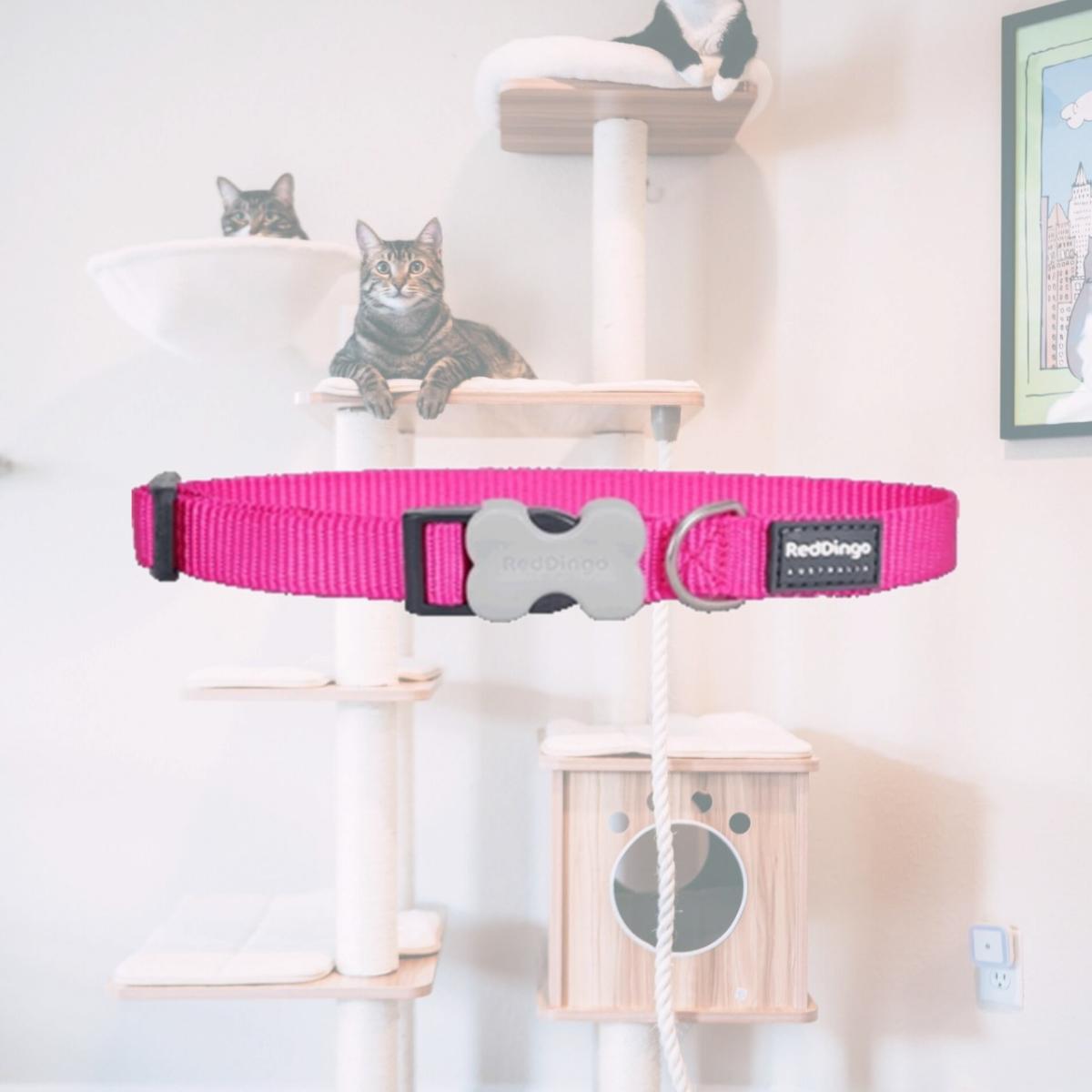 Picture of Red Dingo DC-ZZ-HP-20 Dog Collar Classic Hot Pink- Medium