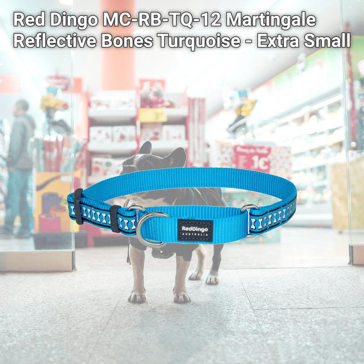 Picture of Red Dingo MC-RB-TQ-12 Martingale Reflective Bones Turquoise - Extra Small