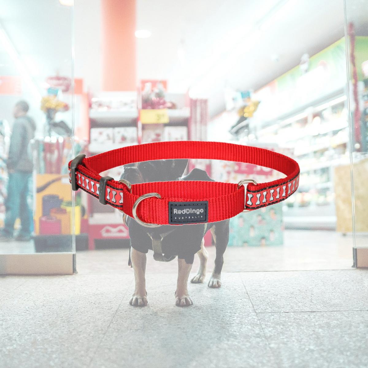 Picture of Red Dingo MC-RB-RE-15 Martingale Reflective Bones Red - Small