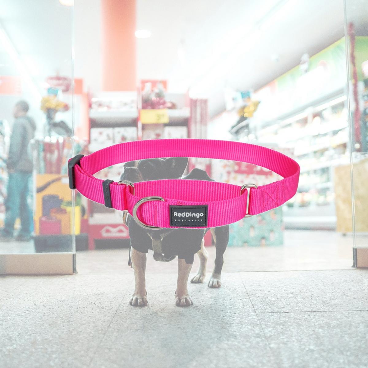 Picture of Red Dingo MC-ZZ-HP-15 Martingale Classic Hot Pink - Small